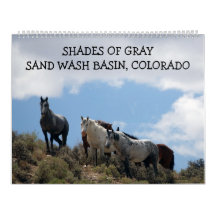 Bassin de Sand Wash aux nuances de gris, Colorado