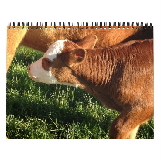 Calendrier Bataille (Protection)