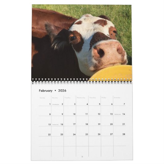 Calendrier Bataille (Feb 2026)