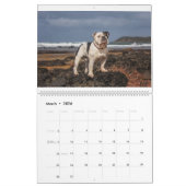 Calendrier Beachbum Bulldogs et autres aventures (Mar 2026)