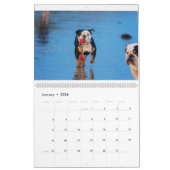 Calendrier Beachbum Bulldogs et autres aventures (Jan 2026)