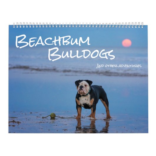 Calendrier Beachbum Bulldogs et autres aventures (Protection)