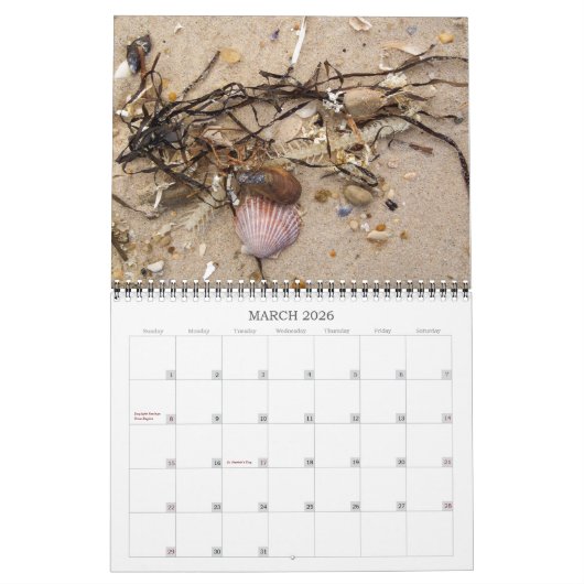 Calendrier Beachcombing (Mar 2026)