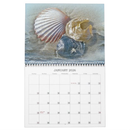 Calendrier Beachcombing (Jan 2026)