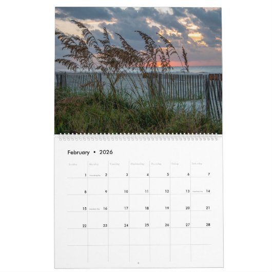 Calendrier Beachs, oiseaux et chiens sur Hilton Head Island (Feb 2026)