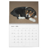 Calendrier beagle (Mar 2026)