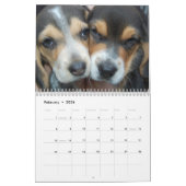 Calendrier beagle (Feb 2026)