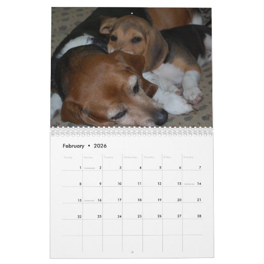 Calendrier beagle (Feb 2026)