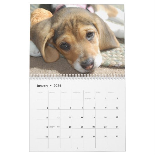 Calendrier beagle (Jan 2026)