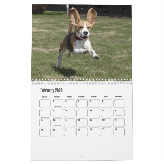 Calendrier beagle (Feb 2026)