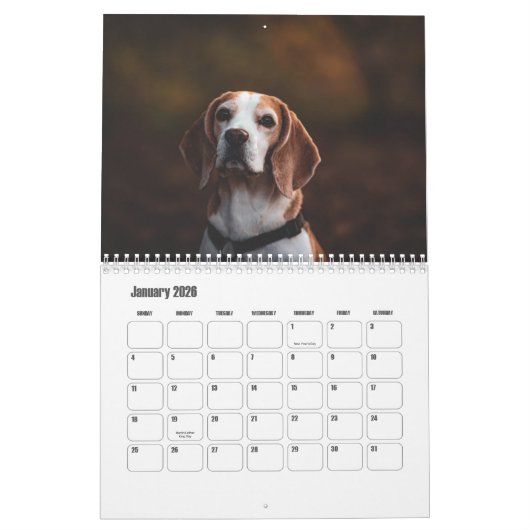 Calendrier beagle (Jan 2026)