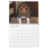 Calendrier beagle (Mar 2027)