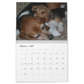 Calendrier beagle (Feb 2027)