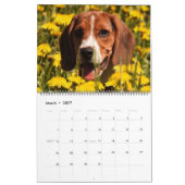 Calendrier Beagle 2021 (Mar 2027)