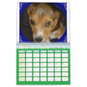 Calendrier Beagle Calander (Mar 2026)