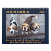 Calendrier Beagles and Buddies 2026 Calendar (Protection)