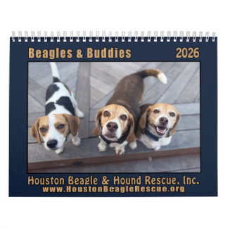 Calendrier Beagles et Buddies 2026
