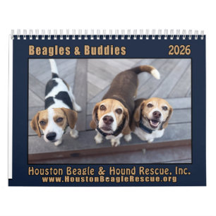 Calendrier Beagles et Copains 2026