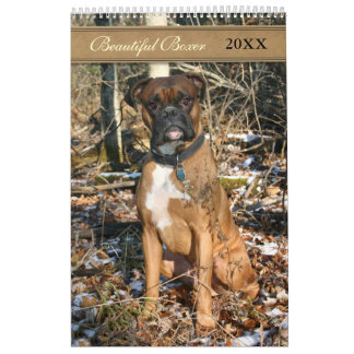 Calendrier Beau chien de boxe 2021