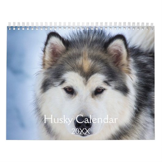 Calendrier Beau Chien Husky (Protection)