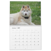 Calendrier Beau Chien Husky (Jan 2027)