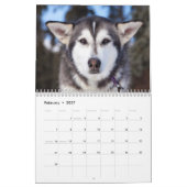 Calendrier Beau Chien Husky (Feb 2027)