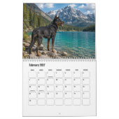 Calendrier Beauceron (Feb 2027)