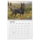 Calendrier Beauceron (Jan 2027)