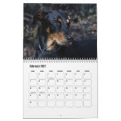 Calendrier Beauceron (Feb 2027)