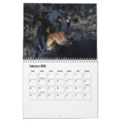 Calendrier Beauceron (Feb 2026)