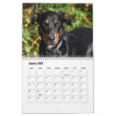 Calendrier Beauceron (Jan 2026)
