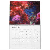 Calendrier Beauté de Key West par Scott S. Jones (Feb 2027)