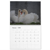 Calendrier Beauté des cygnes (Feb 2026)