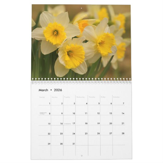 Calendrier Beauté Des Fleurs De Printemps (Mar 2026)