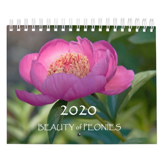 Calendrier Beauté des pivoines en 2020 (Protection)