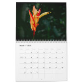 Calendrier beauté Maui (Mar 2026)