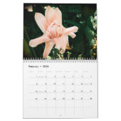 Calendrier beauté Maui (Feb 2026)