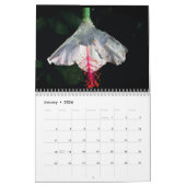 Calendrier beauté Maui (Jan 2026)