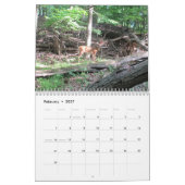 Calendrier Beauté naturelle (Feb 2027)