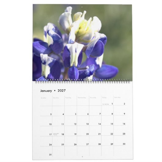 Calendrier Beautés du Texas Créez votre propre Bluebonnet (Jan 2027)