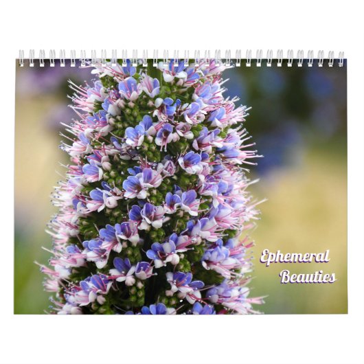 Calendrier Beautés florales de ma Collection Jardin (Protection)