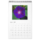 CALENDRIER BEAUTÉS GLOBALES DU MATIN (Mar 2027)