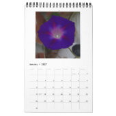CALENDRIER BEAUTÉS GLOBALES DU MATIN (Jan 2027)