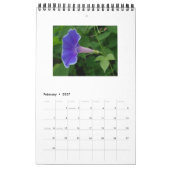 CALENDRIER BEAUTÉS GLOBALES DU MATIN (Feb 2027)
