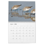 Calendrier Beautiful Birds Calendar (Mar 2026)