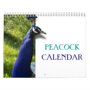 Calendrier Beautiful Peacock 2023