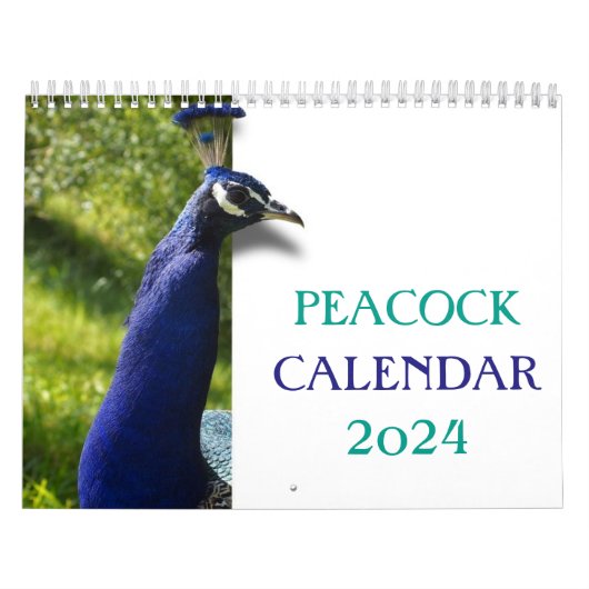 Calendrier Beautiful Peacock 2024 (Protection)
