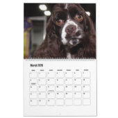 CALENDRIER BEAUTIFUL SUPERSTAR CANINE DOGS (Mar 2026)
