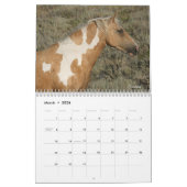 Calendrier "Beauty Queens" MustangWild 2026 Calendar  (Mar 2026)