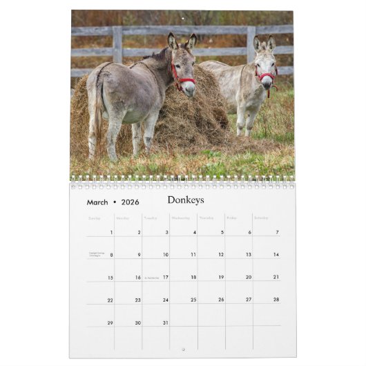 Calendrier Beaux Animaux Sauvages Pour Enfants #4 (Mar 2026)